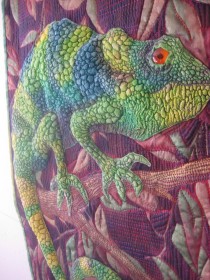 chameleon-detail