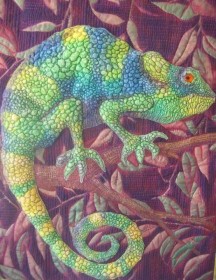 chameleon-full